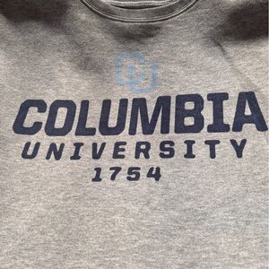 47 Brand Gray Sweatshirt